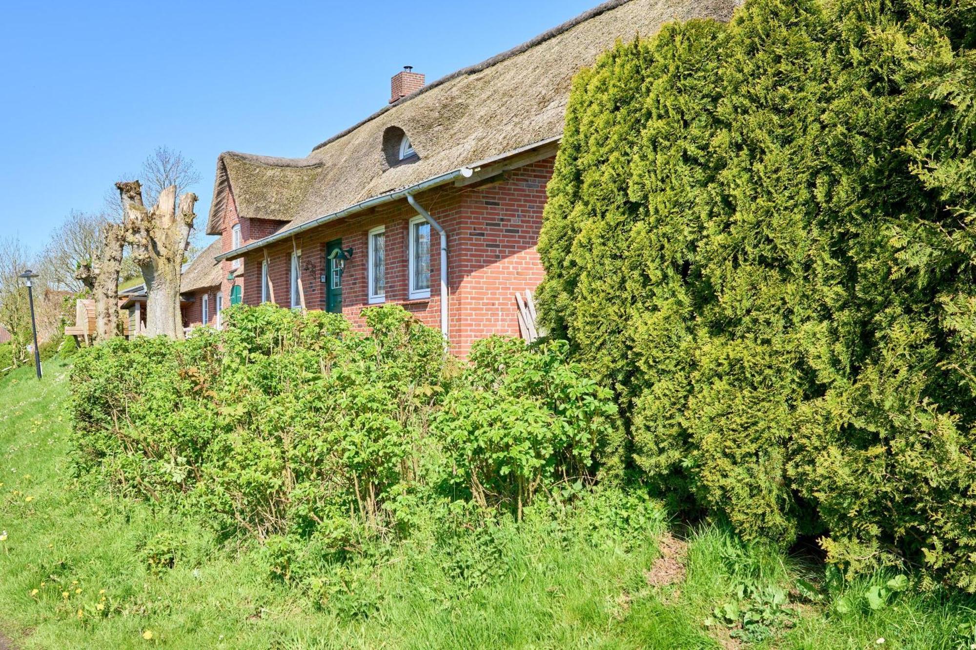 Ferienwohnung Reetdachhaus Sünsbarg Simonsberg Exterior foto
